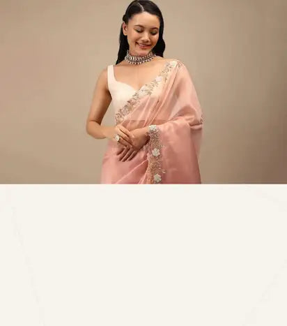 Elegant Embroidered Saree Drape